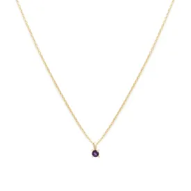 Birthstone Necklace | Gold & Amethyst